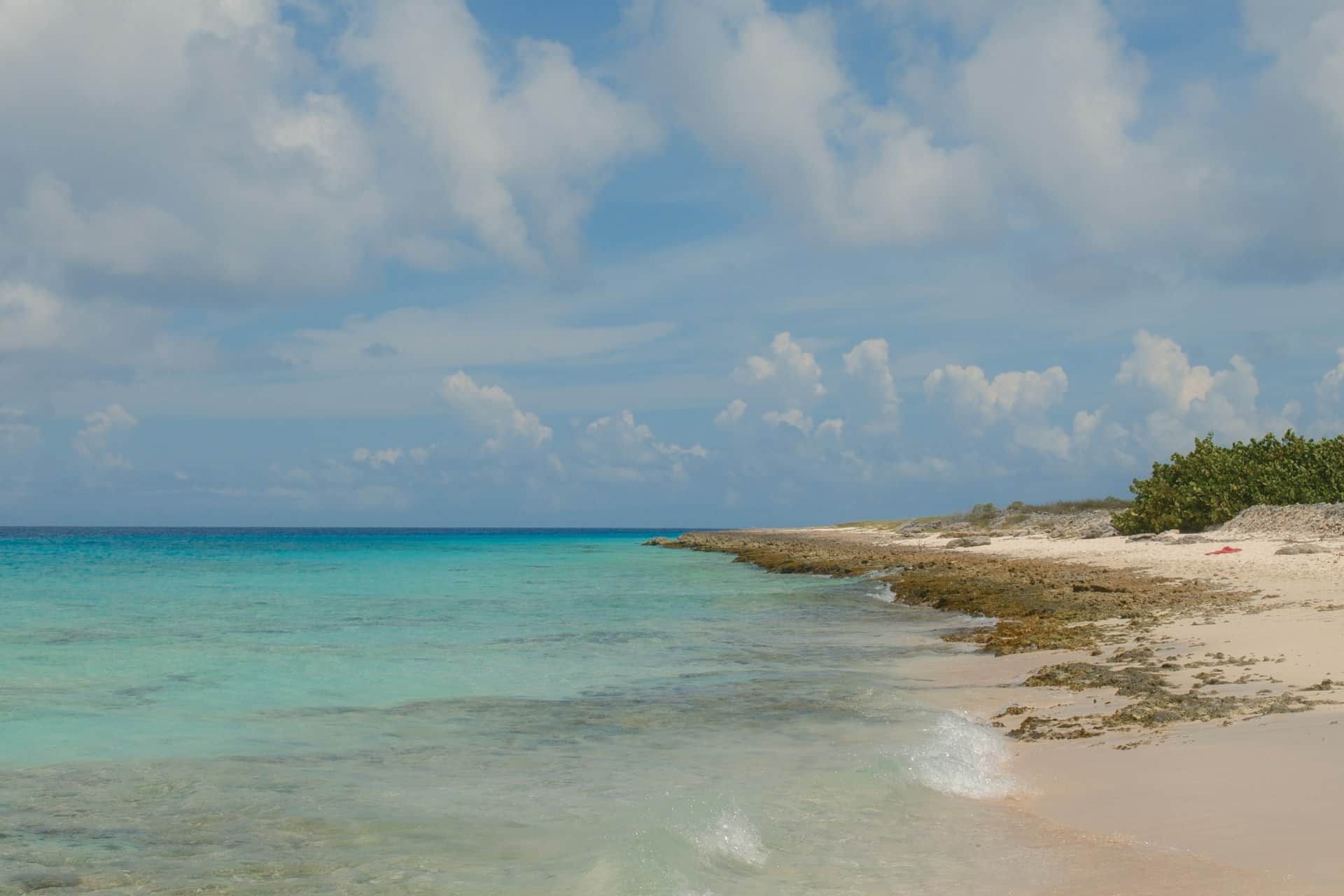 Sandy shoreline and turquoise water at Kokomo Beach club in Curacao with sunbeds and palm shade