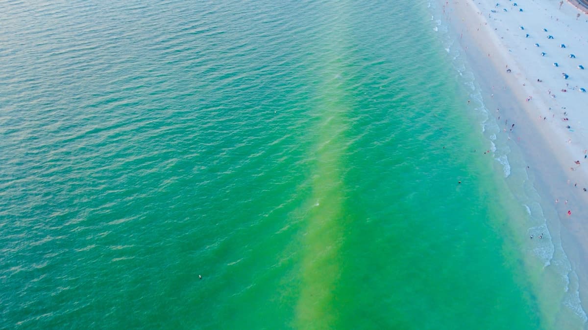 White sand and turquoise Gulf water at Clearwater Beach, Florida with high-rise hotels in the background