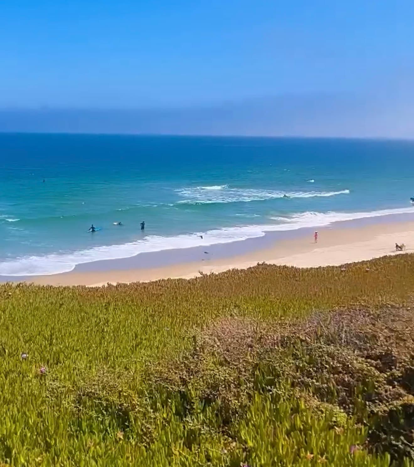 Del Monte Beach photo 1