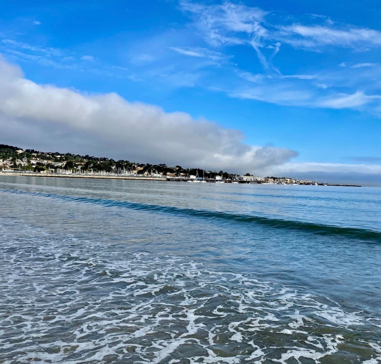 Del Monte Beach photo 2