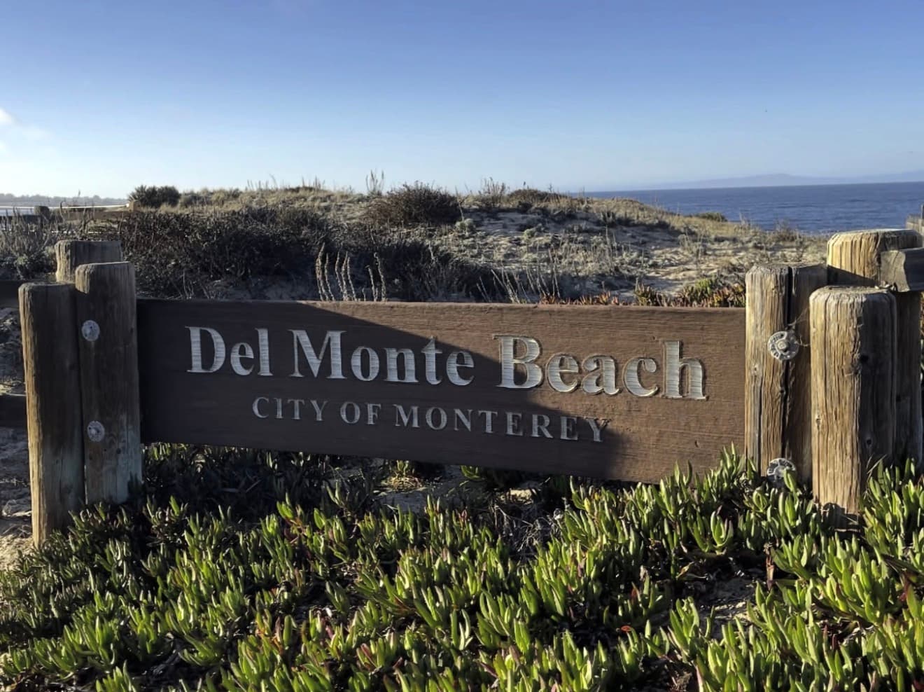 Del Monte Beach photo 3