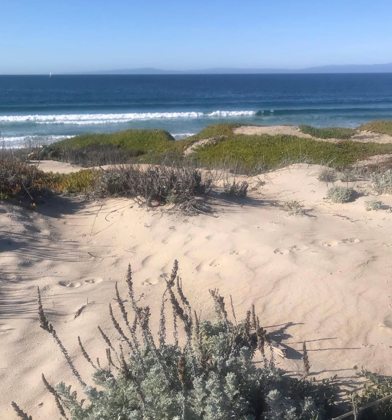 Wide view of Del Monte Beach in Monterey showing pale sand dunes with native ice plant and coastal scrub in the foreground, gentle breaking waves, and the Pacific horizon with the Santa Cruz coast visible in the distance