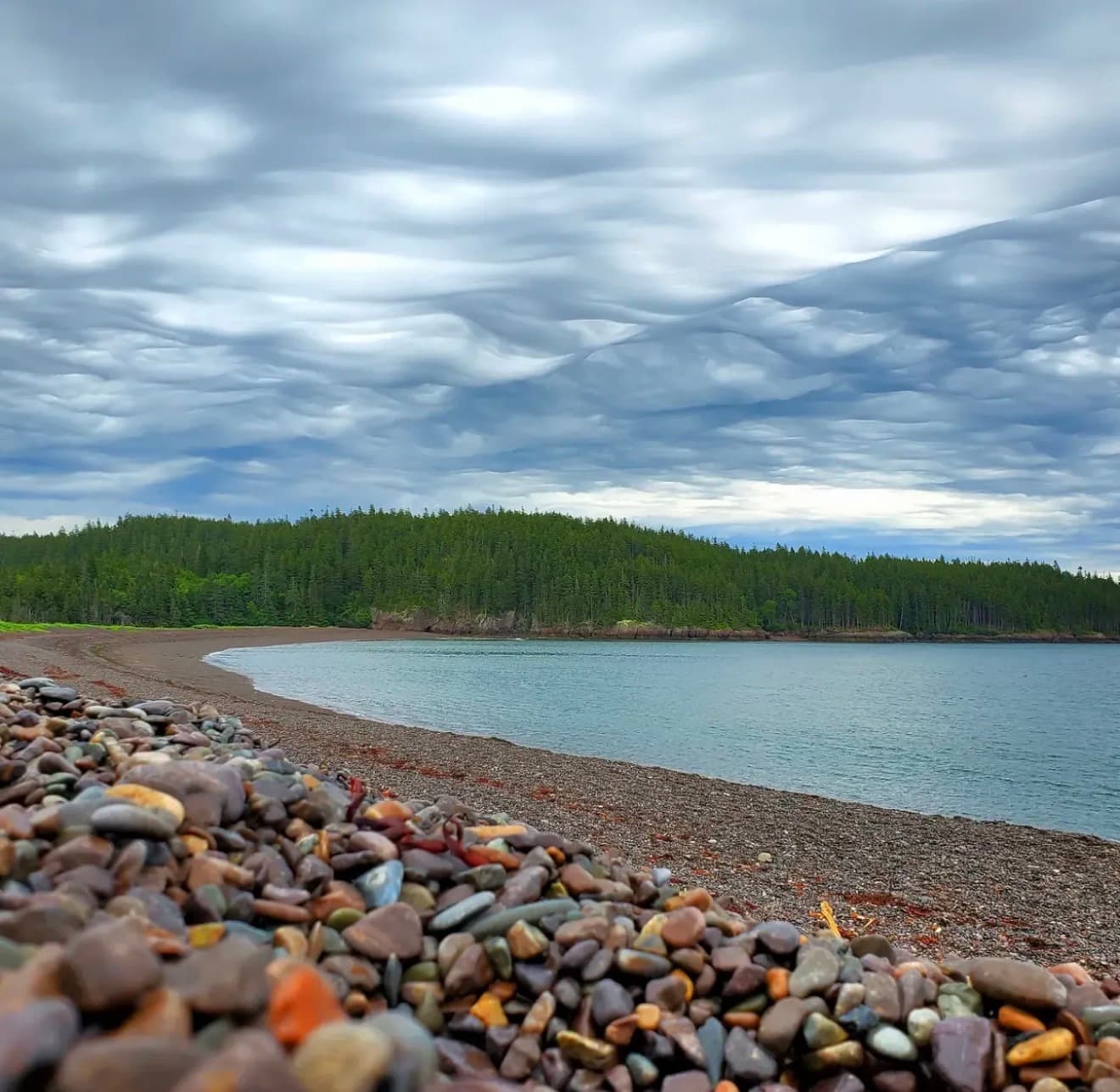 Wide view of Jasper Beach in Machiasport Maine showing the crescent cobblestone cove framed by spruce headlands under a dramatic mackerel sky
