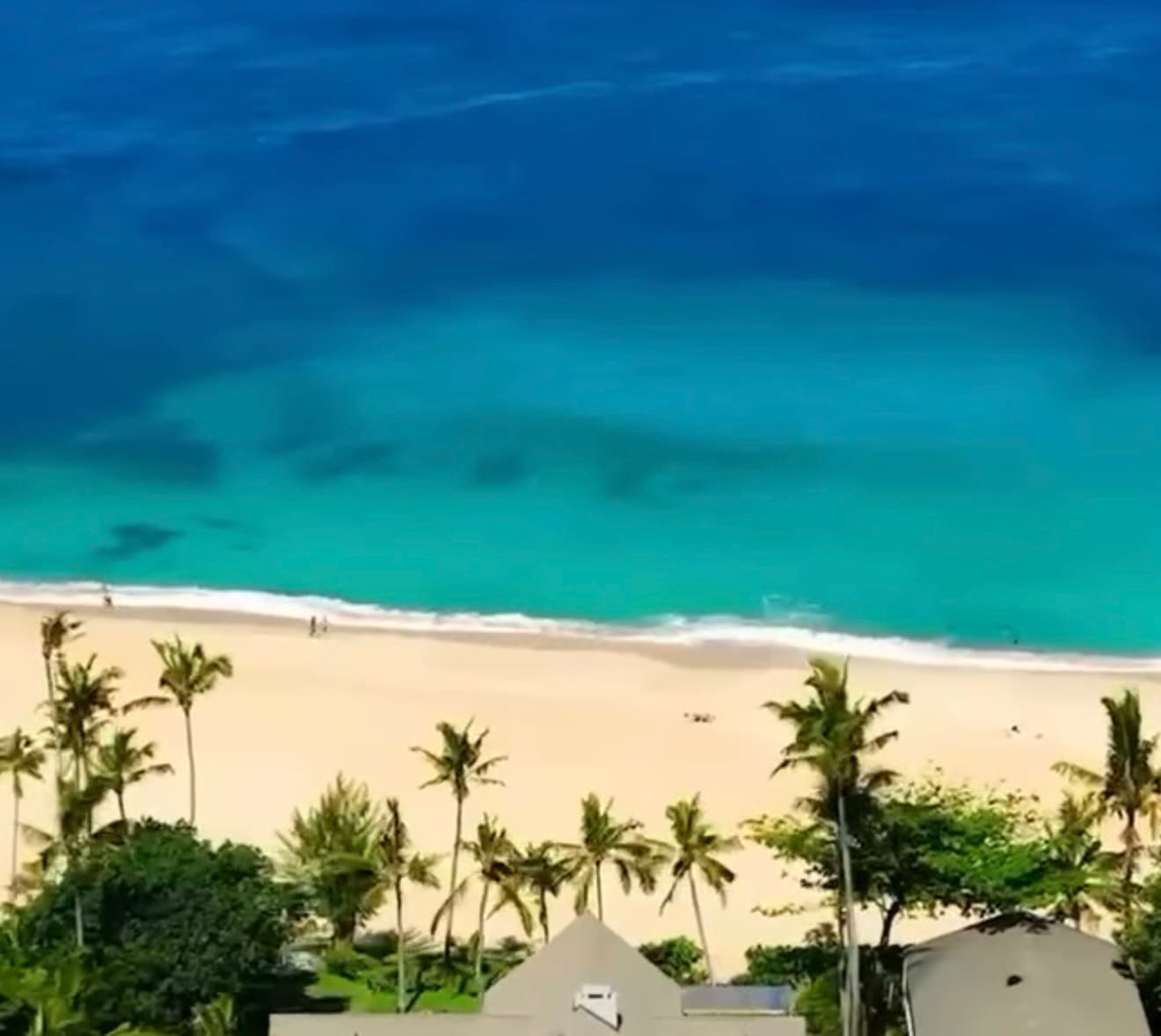 Aerial view of Ke Iki Beach on Oahu's North Shore showing deep blue water fading to turquoise over a pale sand beach lined with palm trees and low beachfront bungalows