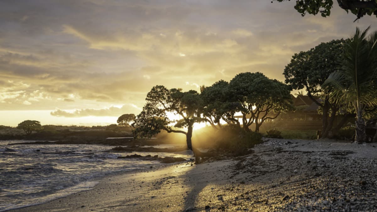 Kohanaiki Beach Park photo 1