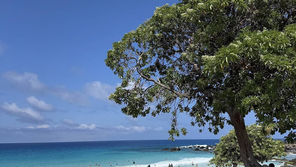 Kua Bay Beach photo 2