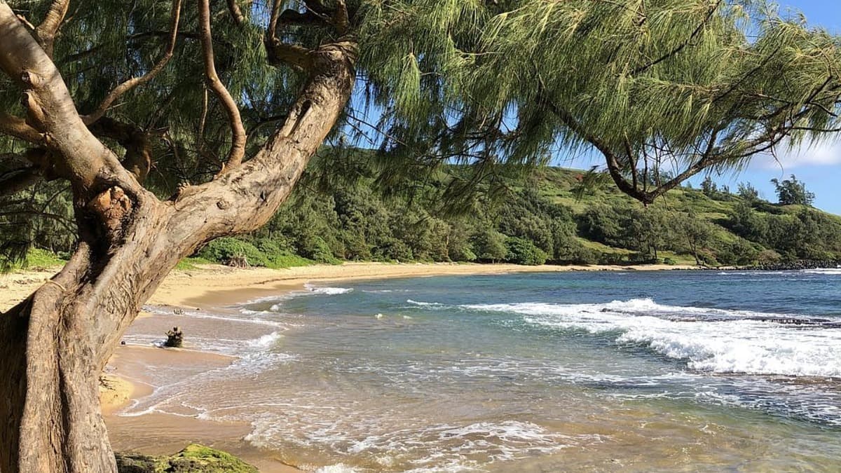 Moloa'a Beach photo 2