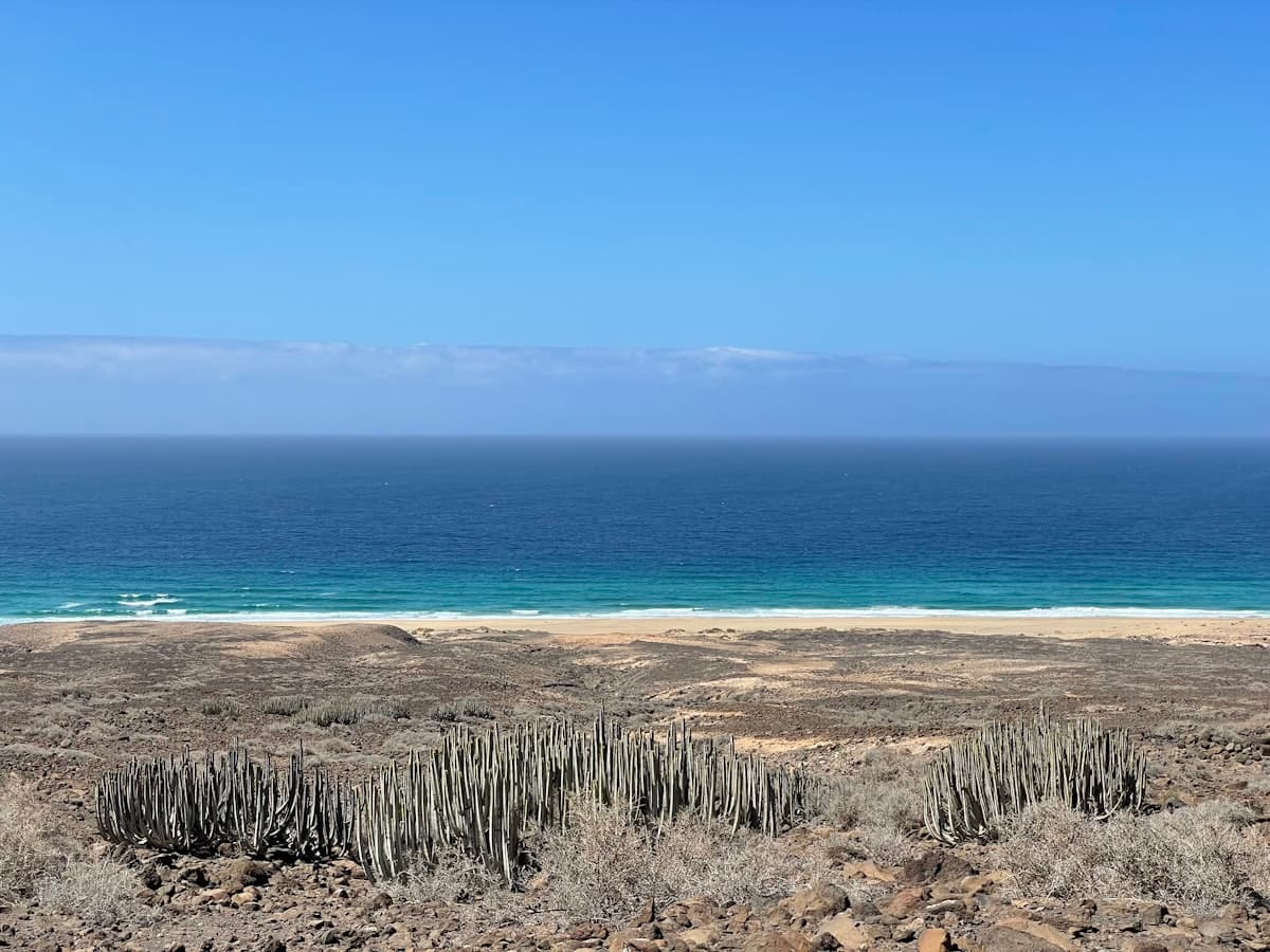 Sweeping view of Playa de Cofete's vast empty shoreline backed by rugged Jandia mountains on Fuerteventura