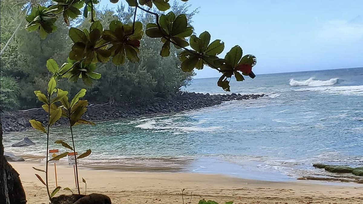 Pu'u Poa Beach photo 1