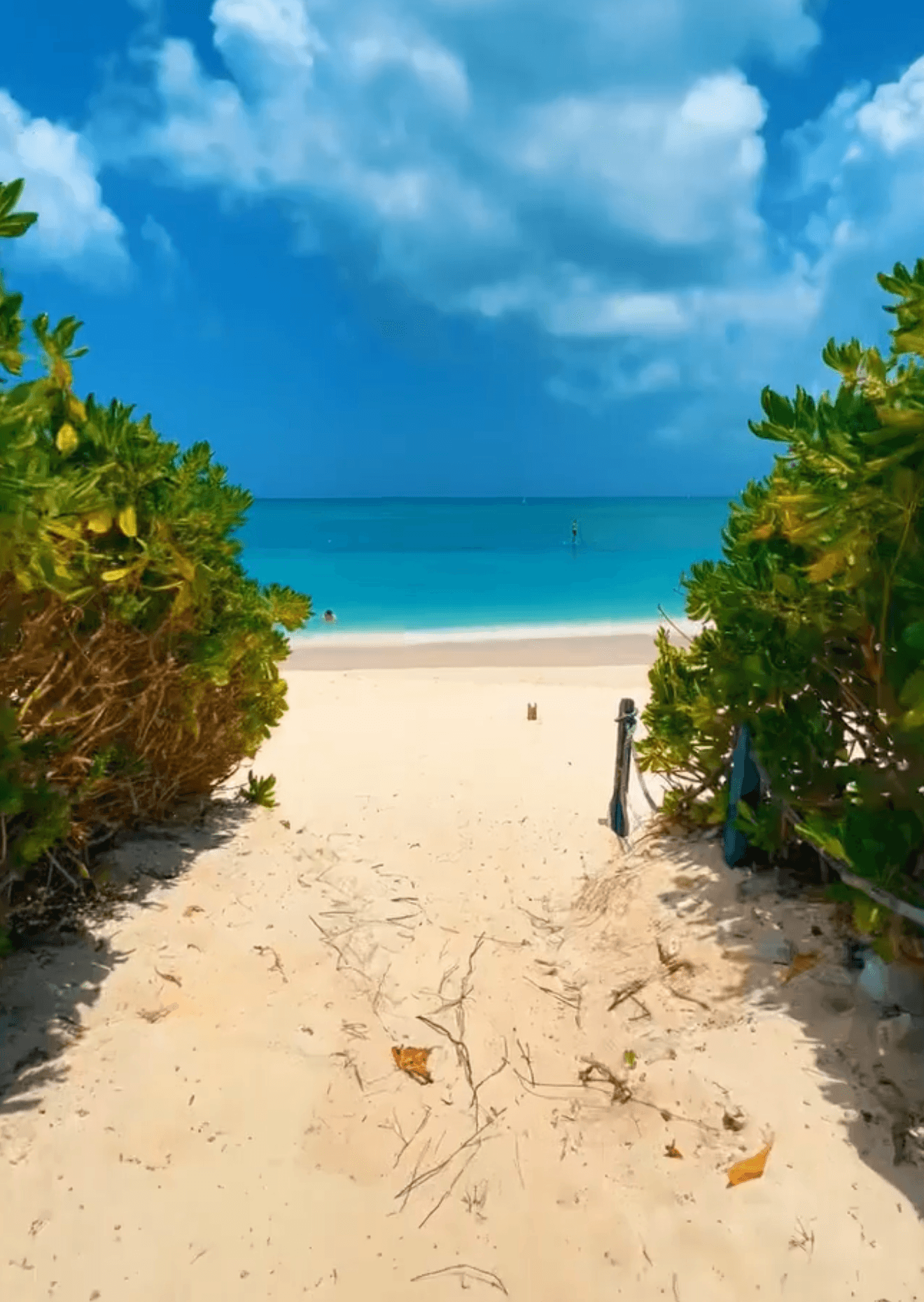 Seven Mile Beach photo 2