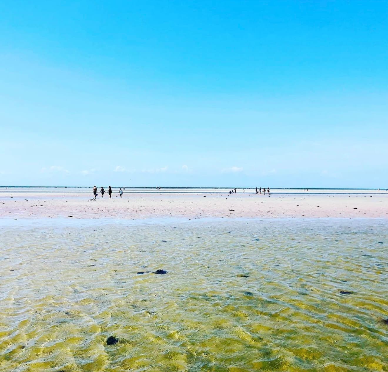 Skaket Beach photo 1