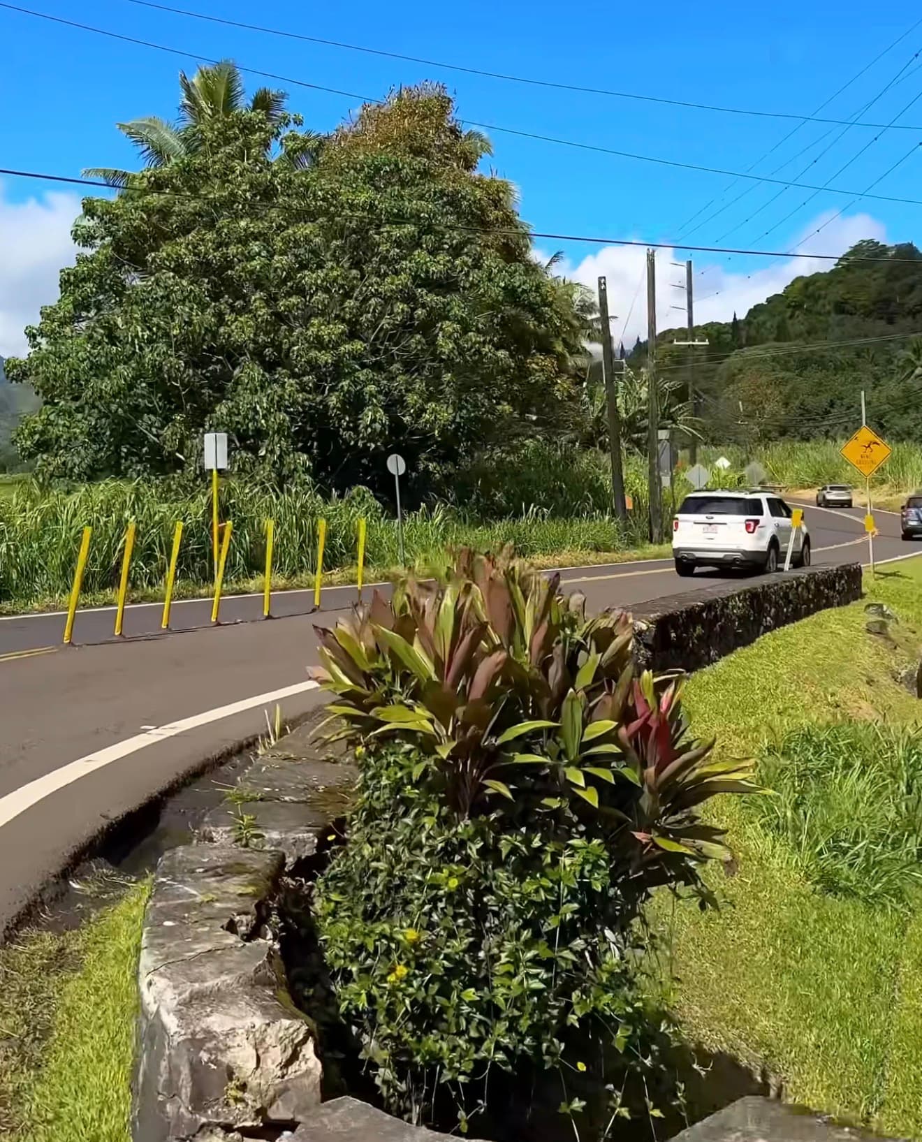 Tunnels Beach photo 3