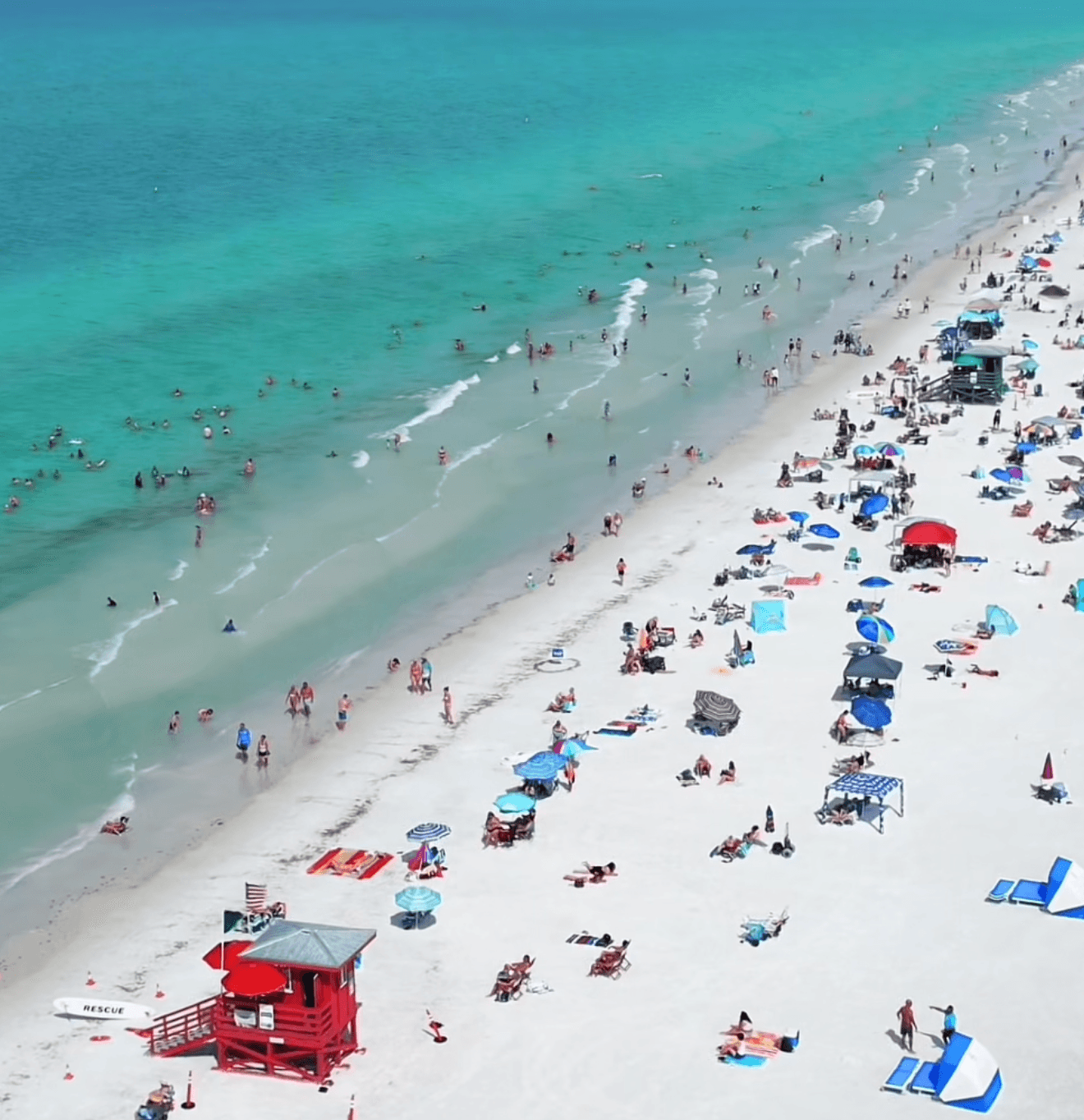 Wide stretch of Atlantic Florida coastline with palm trees and turquoise water near Orlando