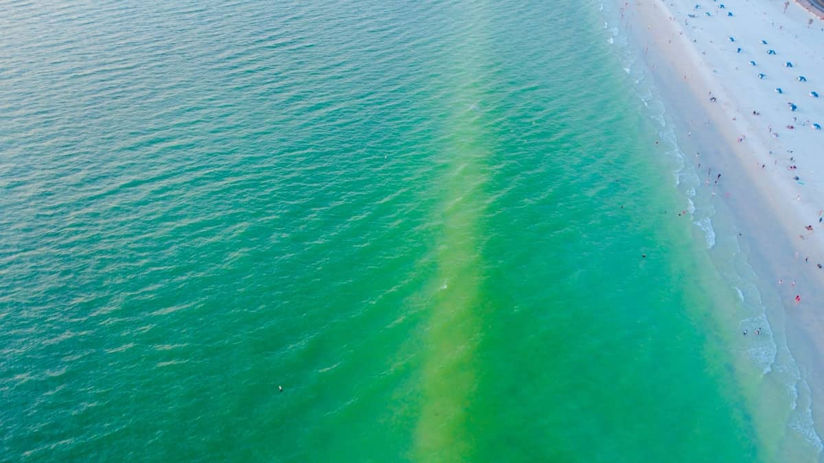 White sand and turquoise Gulf water at Clearwater Beach, Florida with high-rise hotels in the background