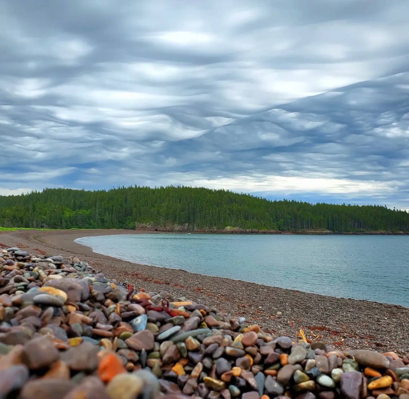 Wide view of Jasper Beach in Machiasport Maine showing the crescent cobblestone cove framed by spruce headlands under a dramatic mackerel sky