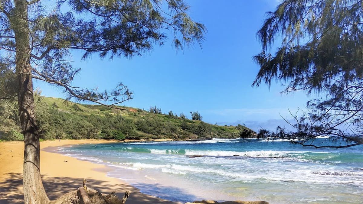 Moloa'a Bay's half-moon crescent of white sand bordered by green cliffs on Kauai's north-east shore