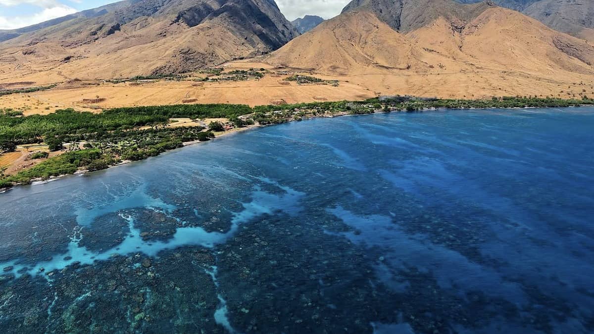 Olowalu Beach Maui at Mile Marker 14 with the fringing coral reef visible offshore