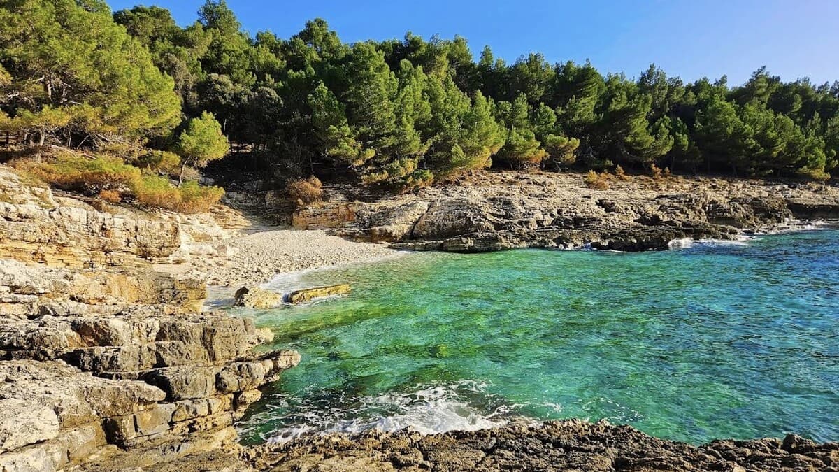 The clear emerald water of Pinizule beach, a pebble cove tucked between limestone rock shelves and pine forest inside Kamenjak nature park near Premantura, Croatia