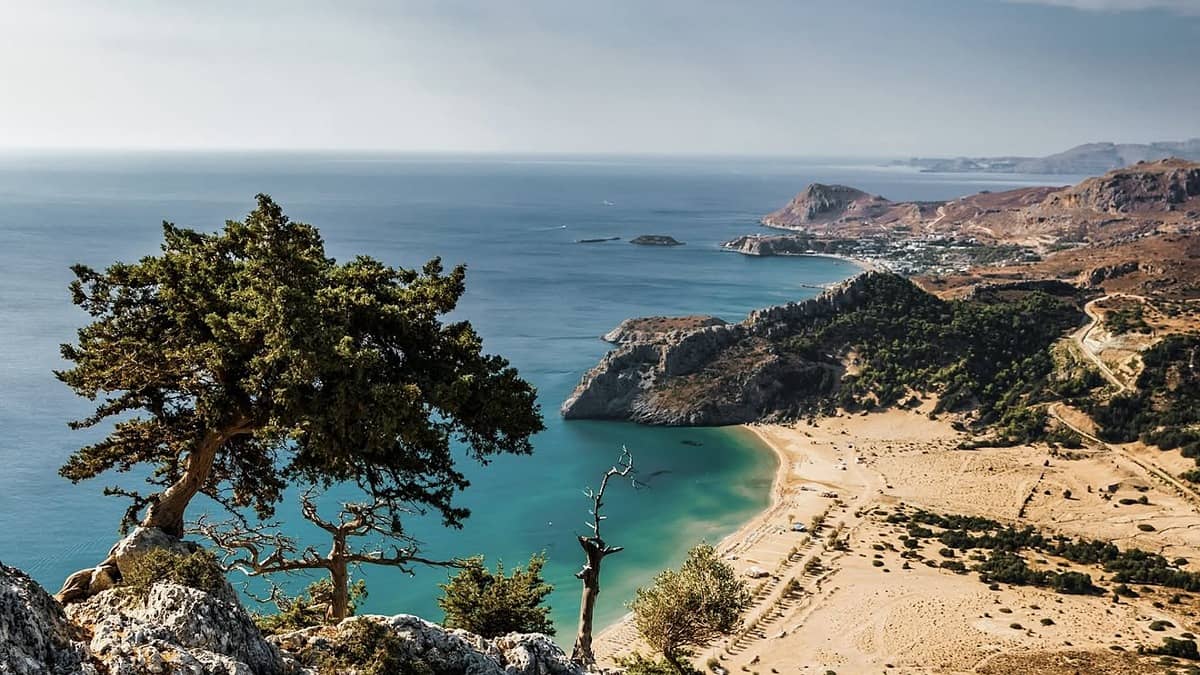 Tsampika Beach on the east coast of Rhodes seen from a pine-topped viewpoint, the long golden sand bay and turquoise Aegean water below