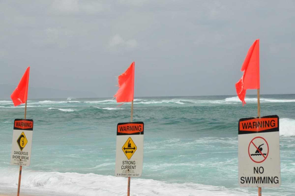 Beach Flag Colors: What Each Flag Means (Guide) | Beach Verdict