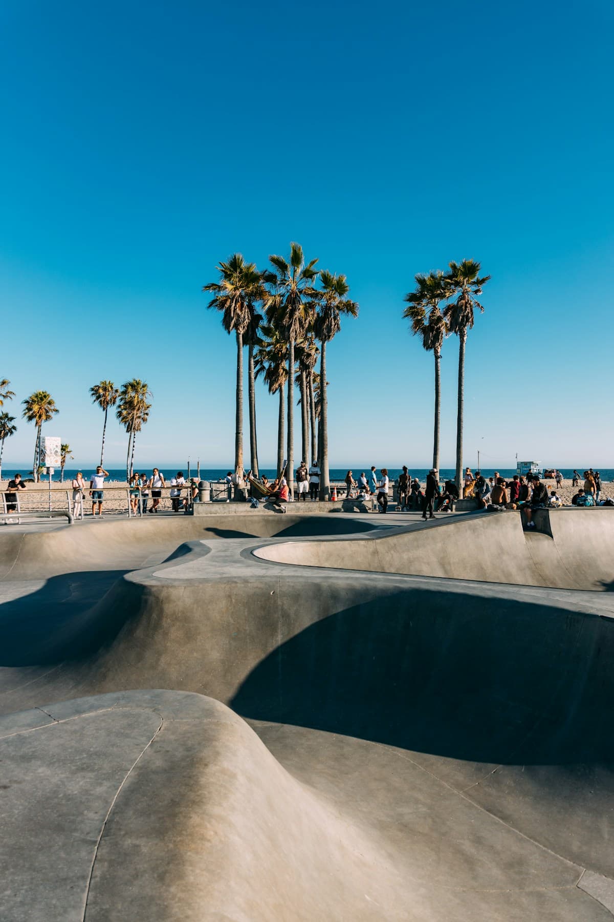 Venice Beach boardwalk with palm trees and street performers