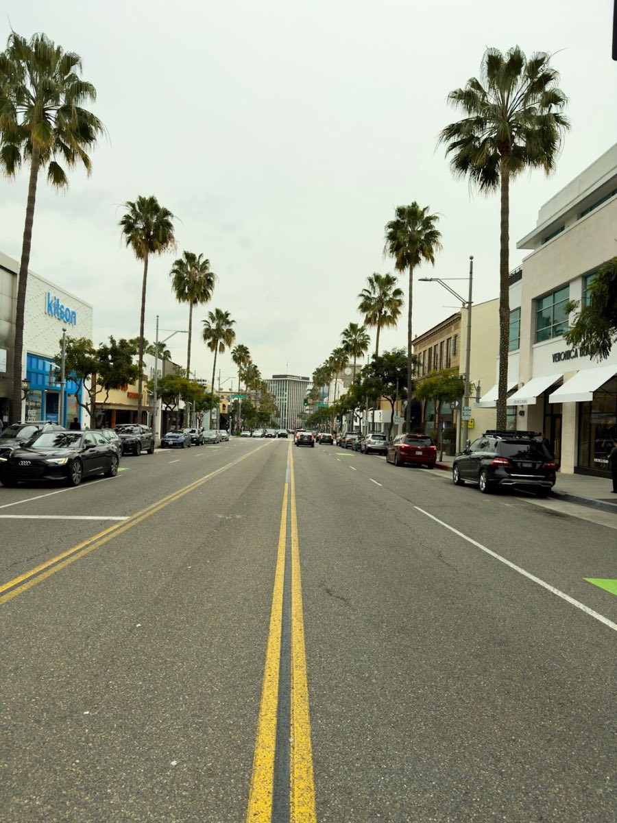 Abbot Kinney Boulevard lined with palm trees and shops