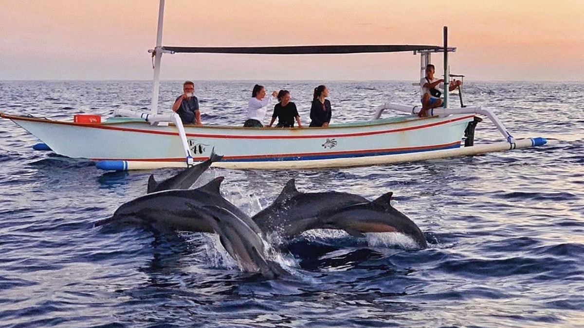 A sunrise dolphin-watching trip off Lovina on Bali's north coast, spinner dolphins beside a traditional outrigger boat