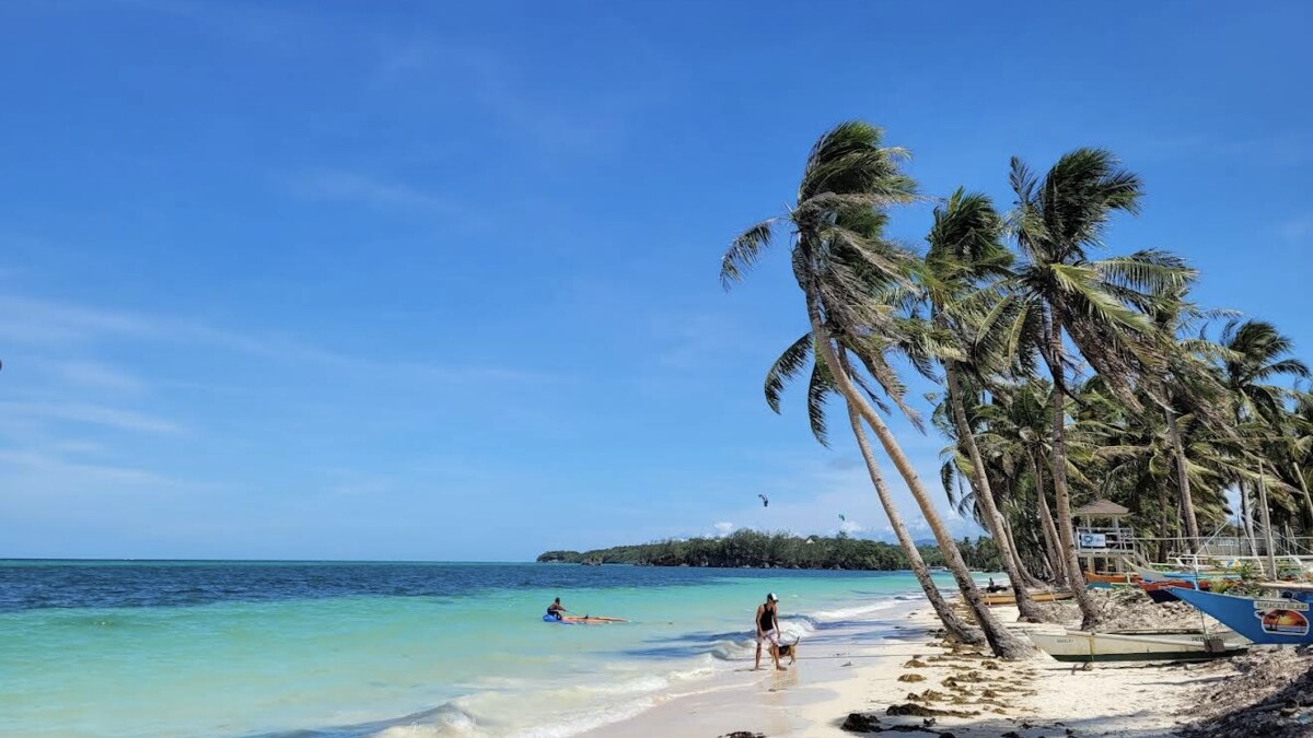 Bulabog Beach on Boracay's east coast, leaning coconut palms over white sand with kitesurfing kites out over the turquoise water