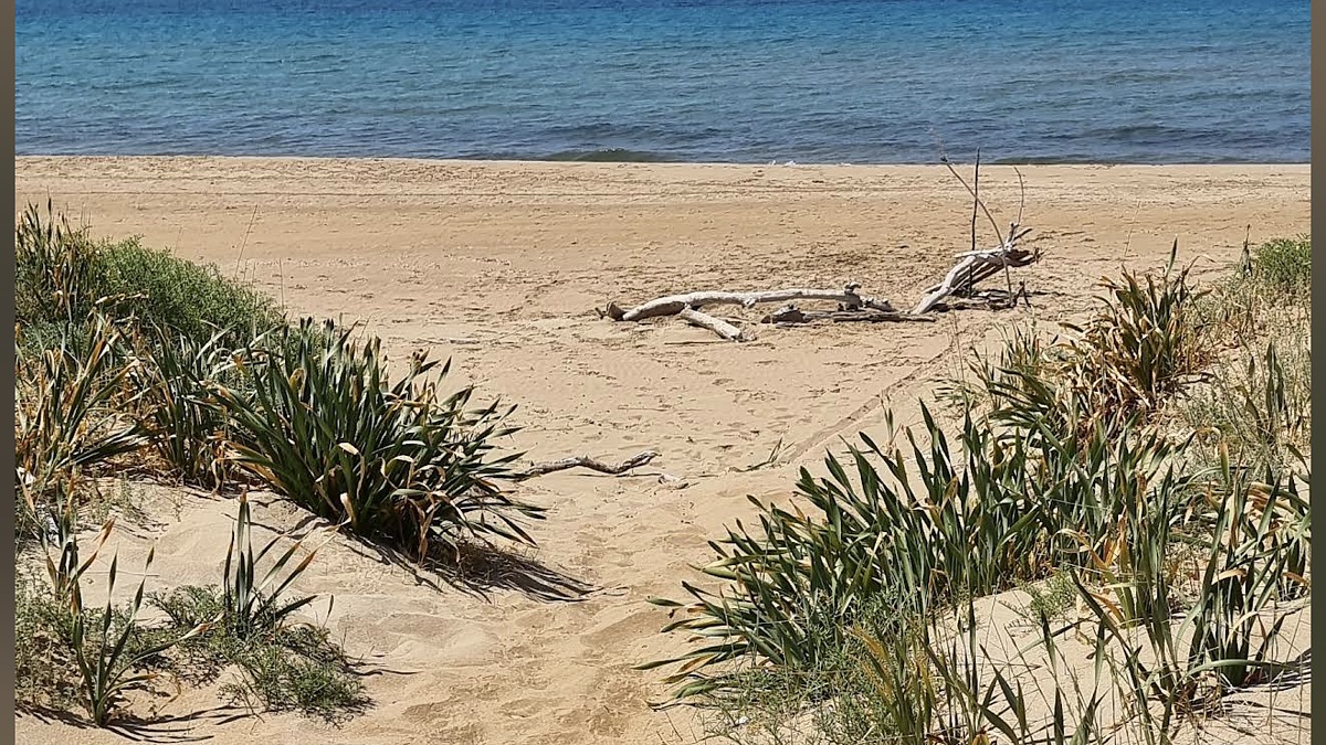 Halikouna Beach on Corfu's west coast, a long undeveloped dune-backed sandy beach facing the open Ionian