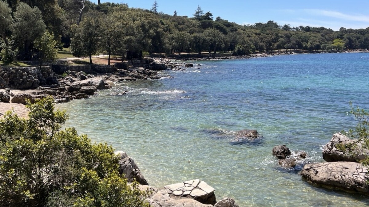 The clear water and rocky pebble shore of Lone Bay in Rovinj's Zlatni Rt forest park, with pines running down to the coves
