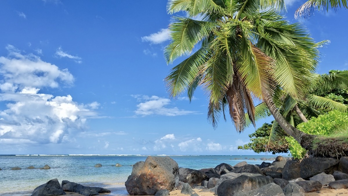 Anini Beach with calm glassy water inside the reef and palm trees