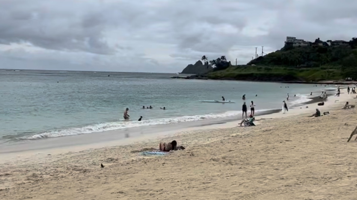 Kailua Beach Park with windsurfers and a long sweep of turquoise bay