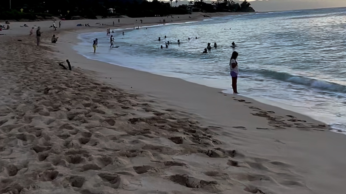 Sunset Beach with surfers in the lineup at golden hour