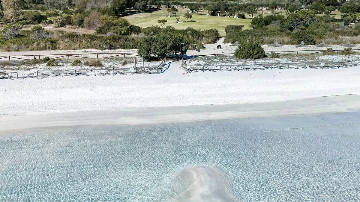 Cala Brandinchi near San Teodoro, white sand and clear shallow water nicknamed Little Tahiti, Sardinia