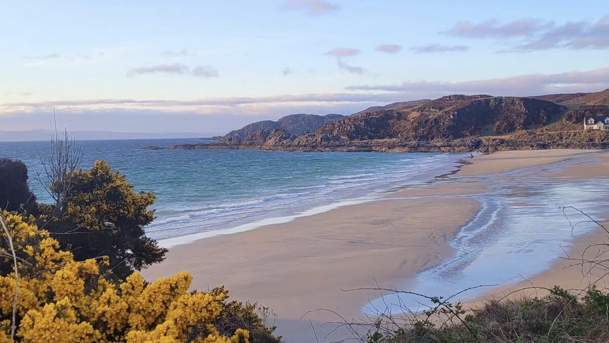 Camusdarach's silver-sand cove on the Road to the Isles near Arisaig, framed by yellow gorse at golden light with a rocky headland and calm sea