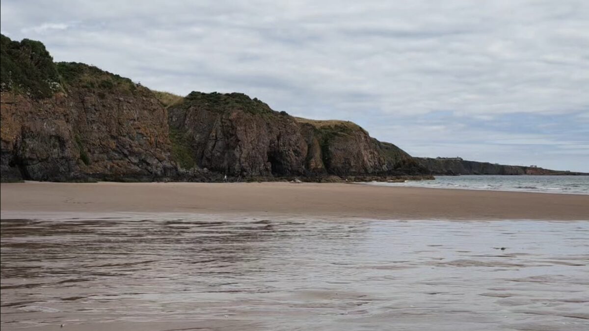 Lunan Bay on the Angus coast, pink-gold sand below the red sandstone cliffs under an overcast sky