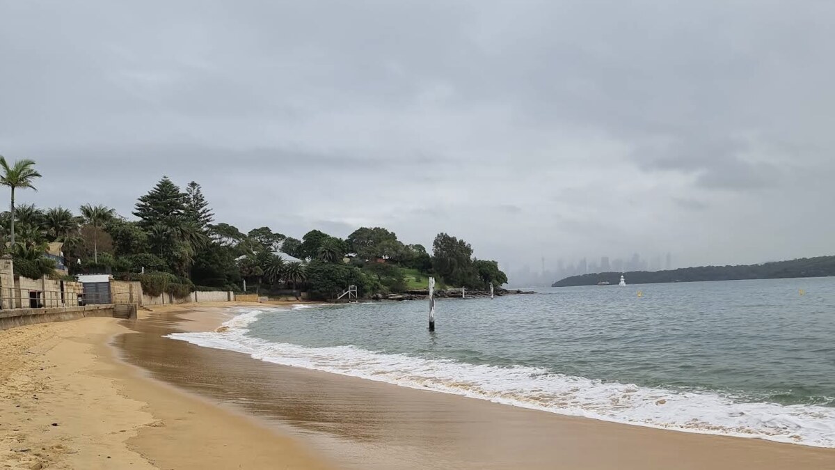 Camp Cove beach at Watsons Bay in Sydney under a grey sky, a small calm harbour beach with the city skyline faint across the water
