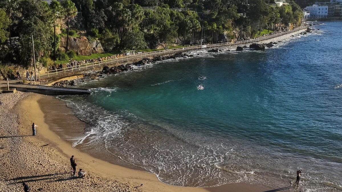 Shelly Beach near Manly in Sydney, a small sheltered cove of calm clear water with a shoreline walkway and houses on the wooded slope above, kayaks pulled up on the sand
