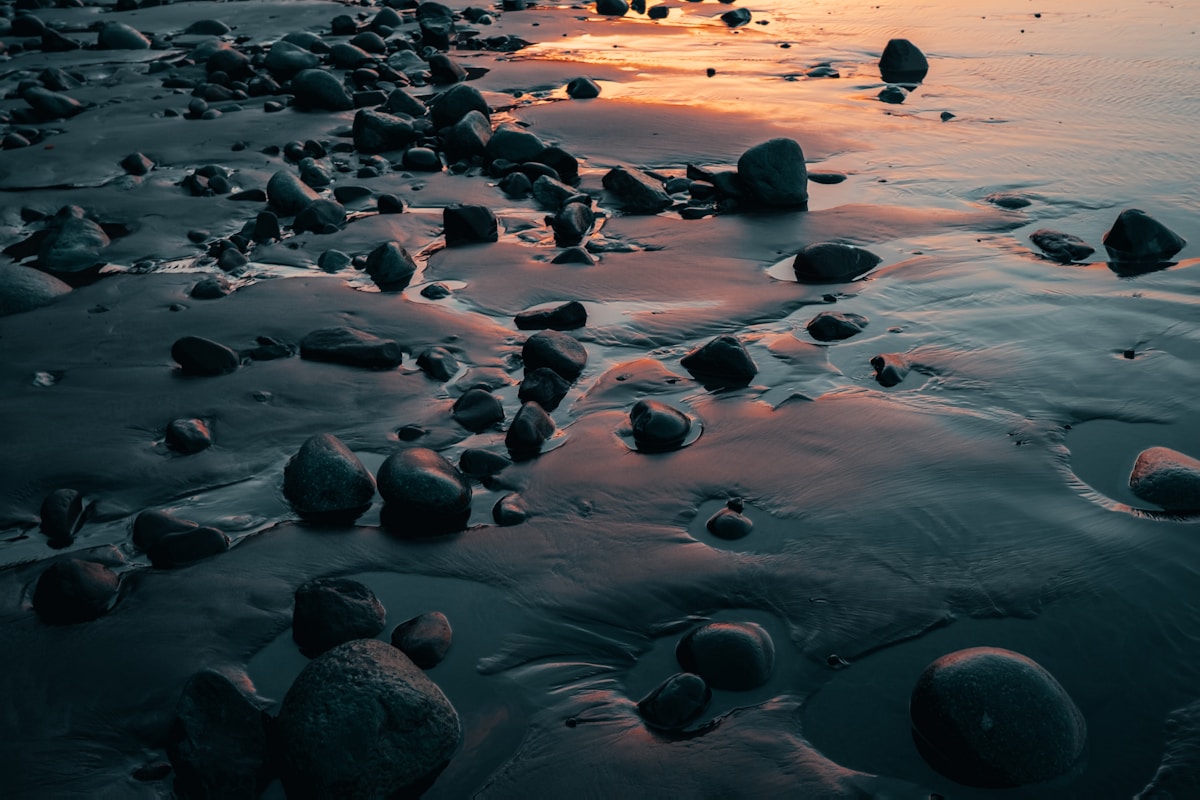 Dark volcanic rocks scattered on the wet sand at Playa de Benijo during golden hour