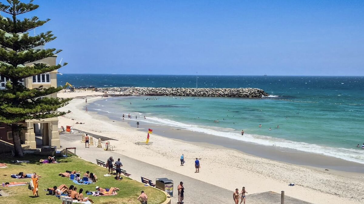 Cottesloe Beach in Perth from the grassy terraces, with a Norfolk pine, sunbathers on the lawn and the groyne reaching into the turquoise water
