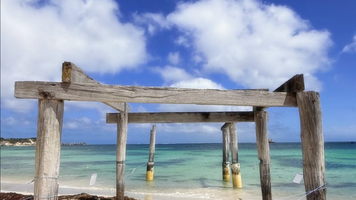 The weathered timber pylons of the old Hamelin Bay jetty standing in the turquoise shallows, Margaret River region near Augusta