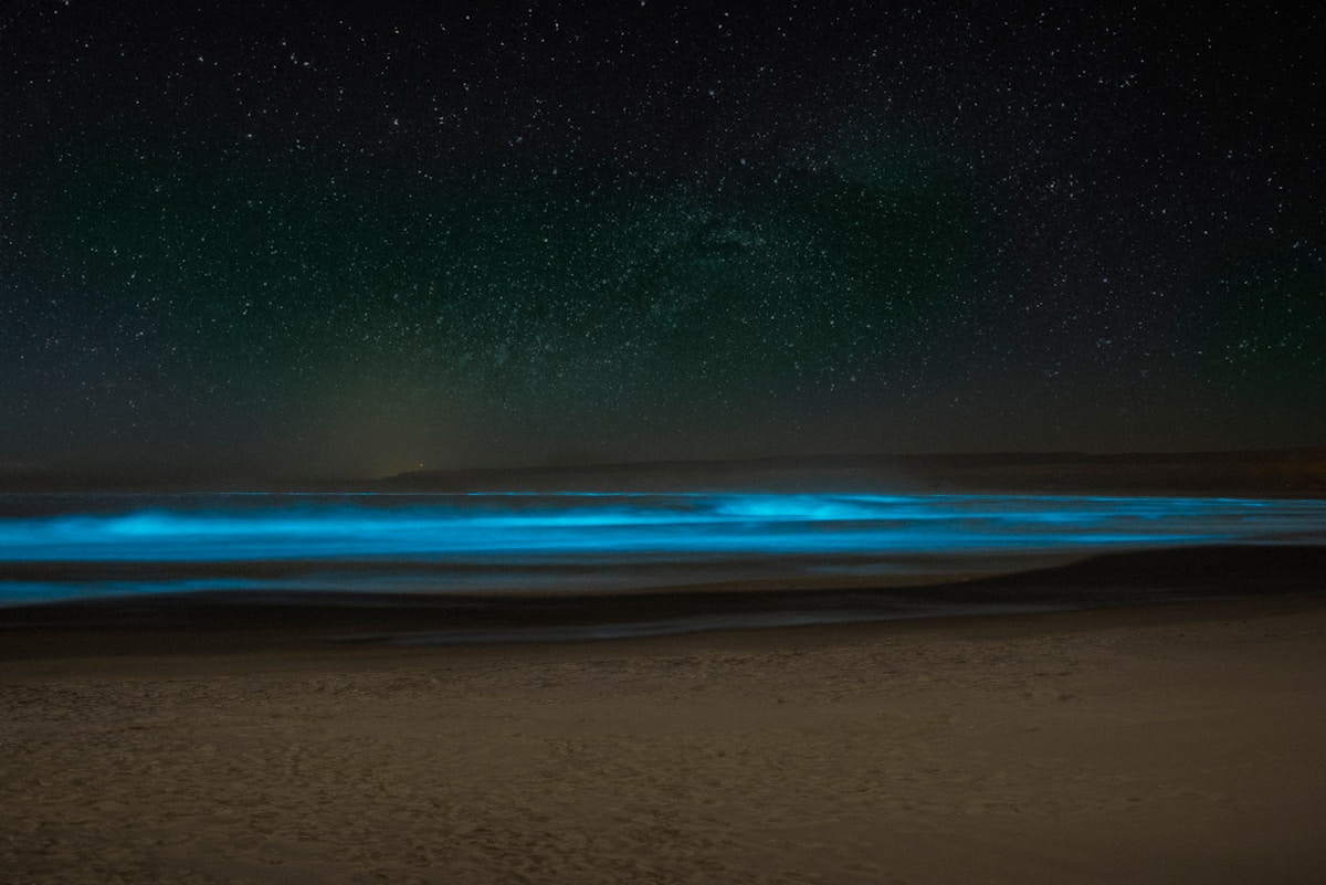 Bioluminescent plankton glowing blue in the waves on a dark beach at night