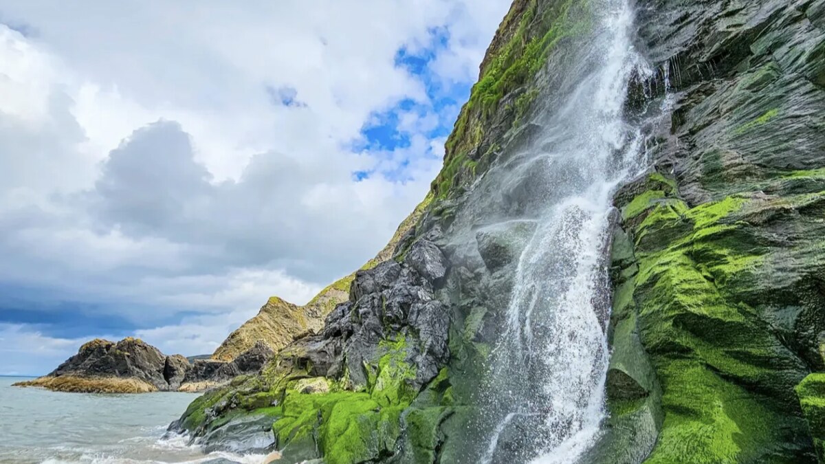 The waterfall at Tresaith in Ceredigion pouring over the moss-covered cliff straight onto the rocks and sand at the north end of the beach