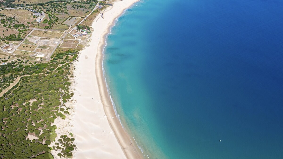 Bolonia beach from the air, a white crescent of sand and turquoise water with the Roman ruins of Baelo Claudia and pine forest behind