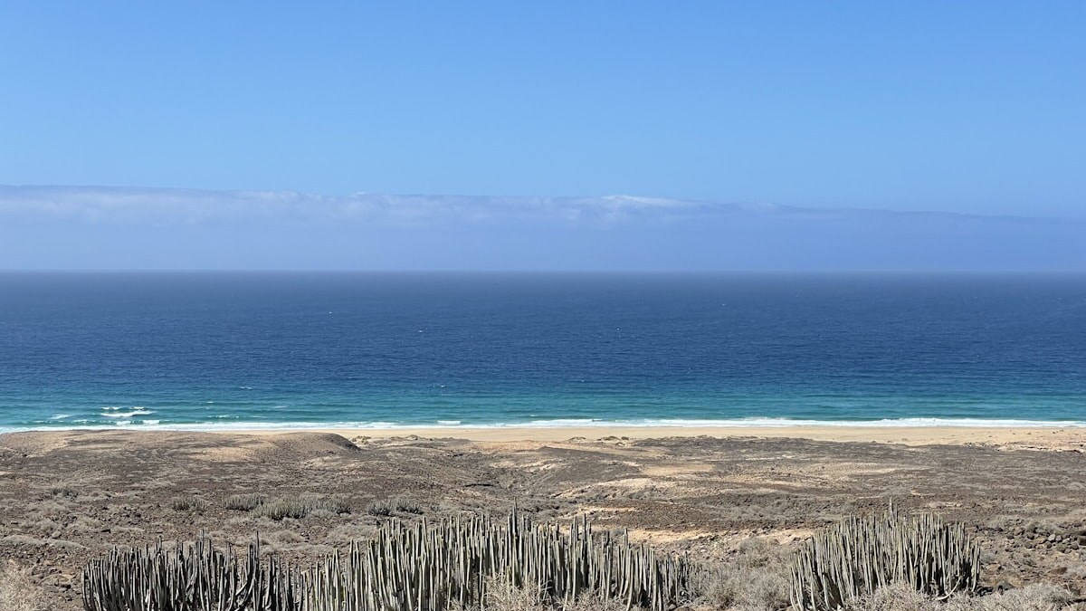 Sweeping view of Playa de Cofete's vast empty shoreline backed by rugged Jandia mountains on Fuerteventura